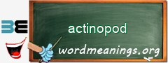 WordMeaning blackboard for actinopod